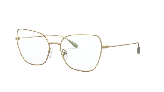 Emporio Armani EA 1111 (3002) Glasses Transparent / Gold