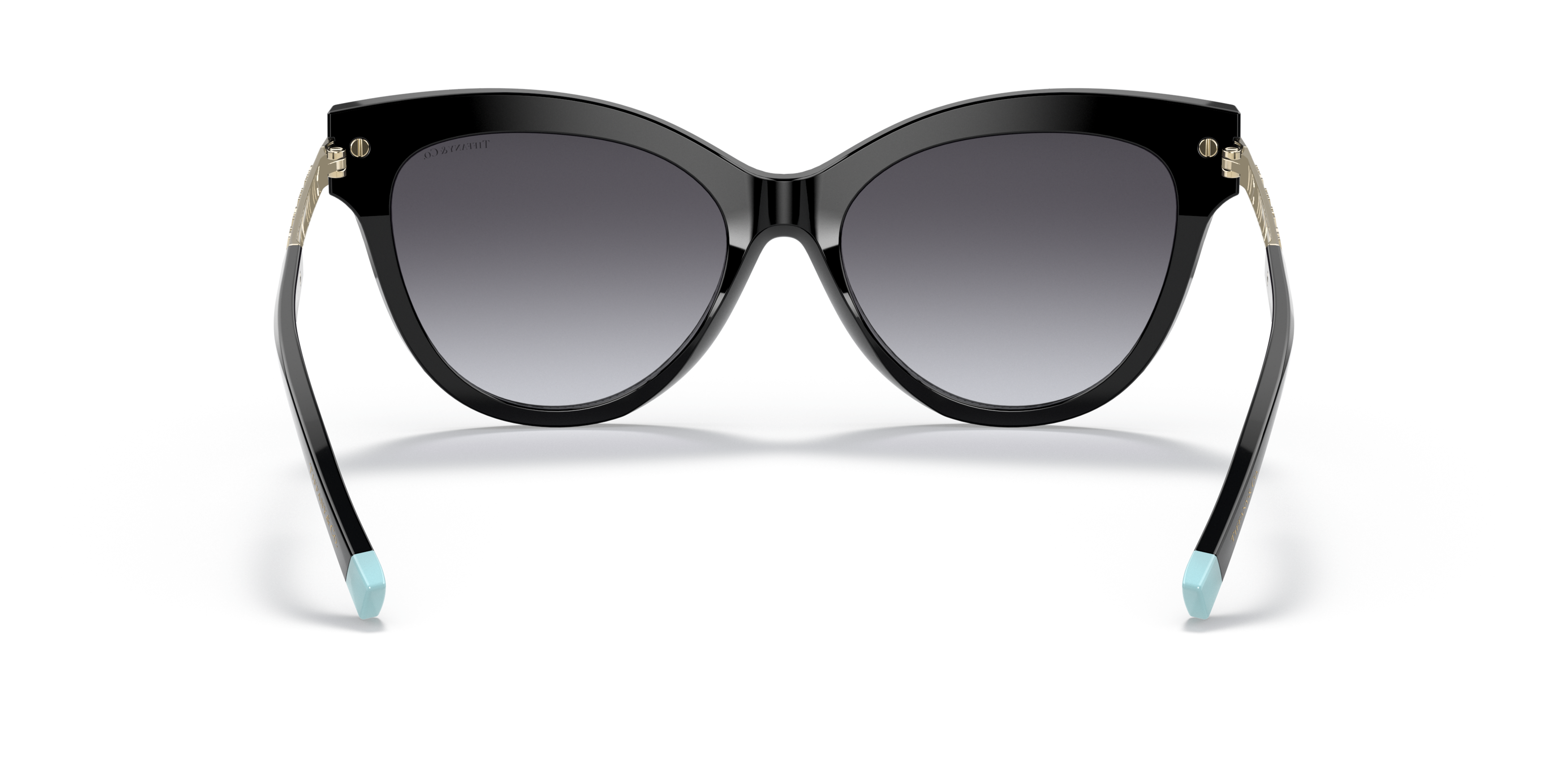 Detail02 Tiffany & Co TF 4182 Sunglasses Grey / Black