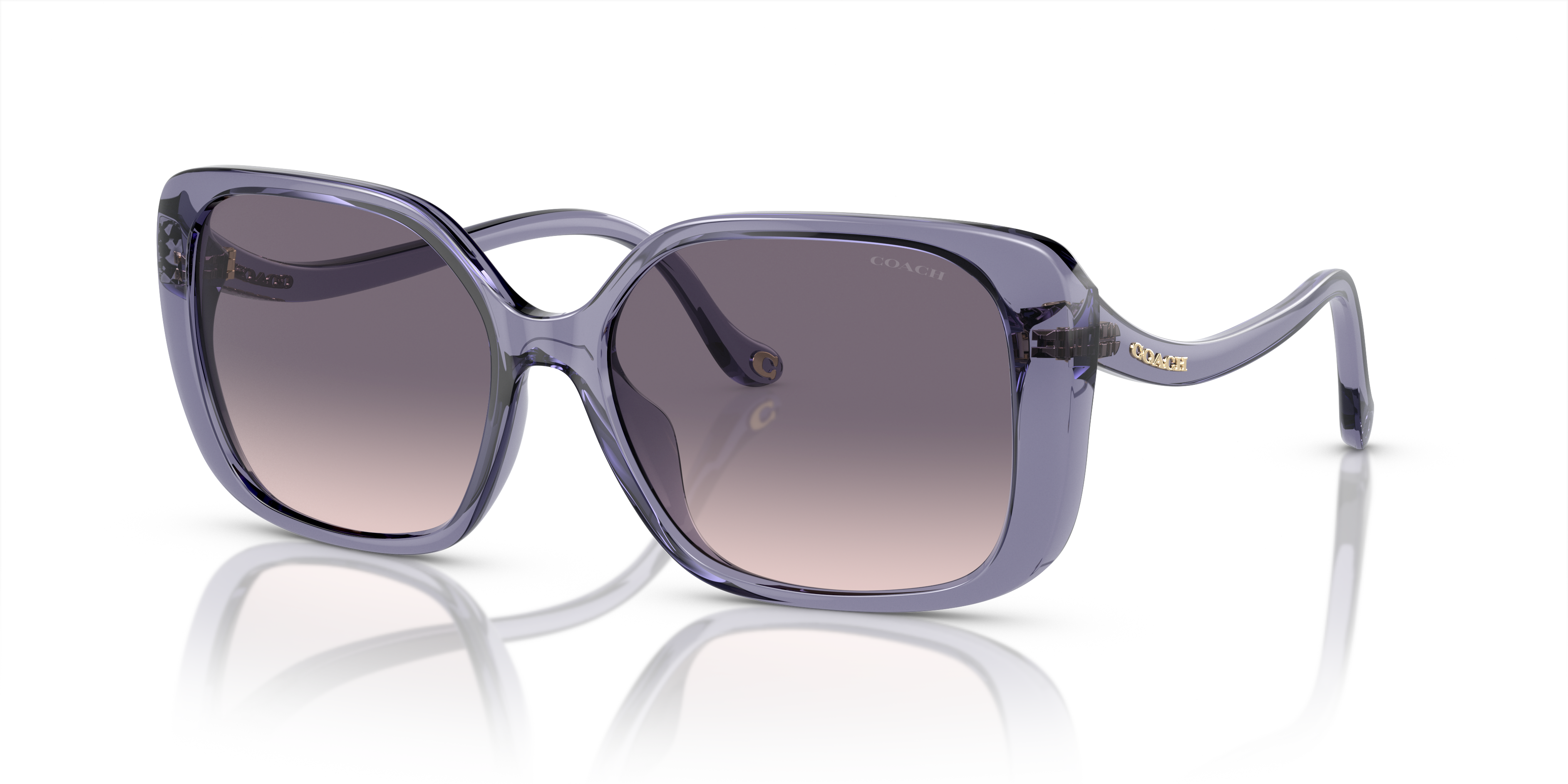 [products.image.angle_left01] Coach HC 8376U Sunglasses
