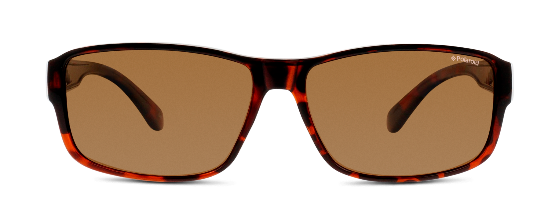 Vertolking Kan worden berekend Vier Polaroid zonnebril kopen? Bekijk het aanbod online | Eye Wish Opticiens