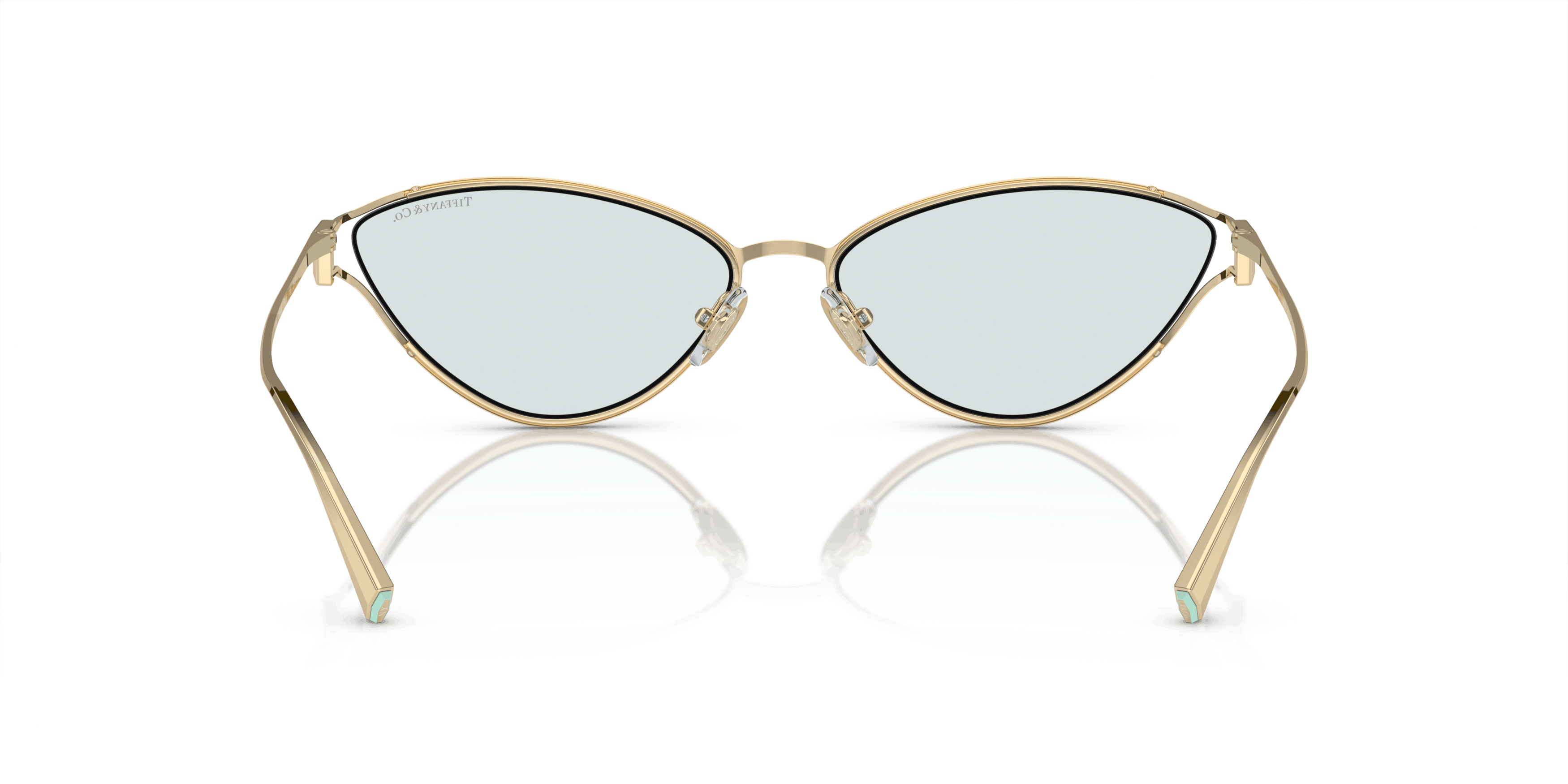Detail02, Tiffany & Co. TF3095 6196MF