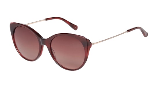 Ted Baker Keyla TB 1589 Sunglasses Brown / Red