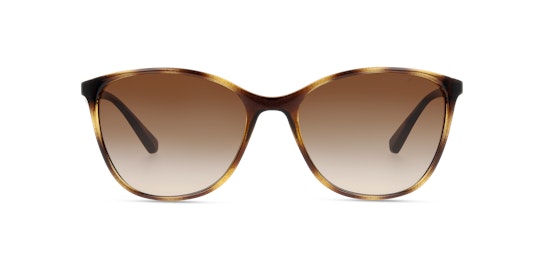 Brune solbriller | solbriller til damer & herrer | Synoptik