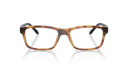 Arnette AN7237U (2770) Glasses Transparent / Black
