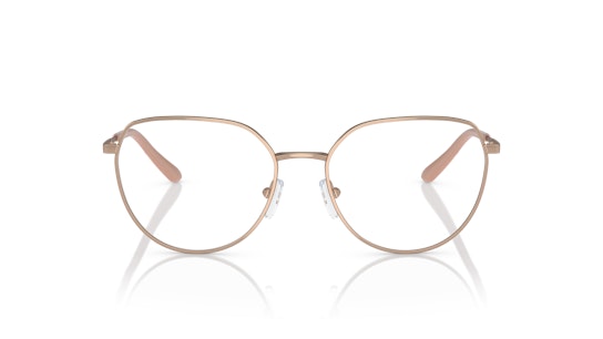 Armani Exchange AX1056 Glasses Transparent / Gold