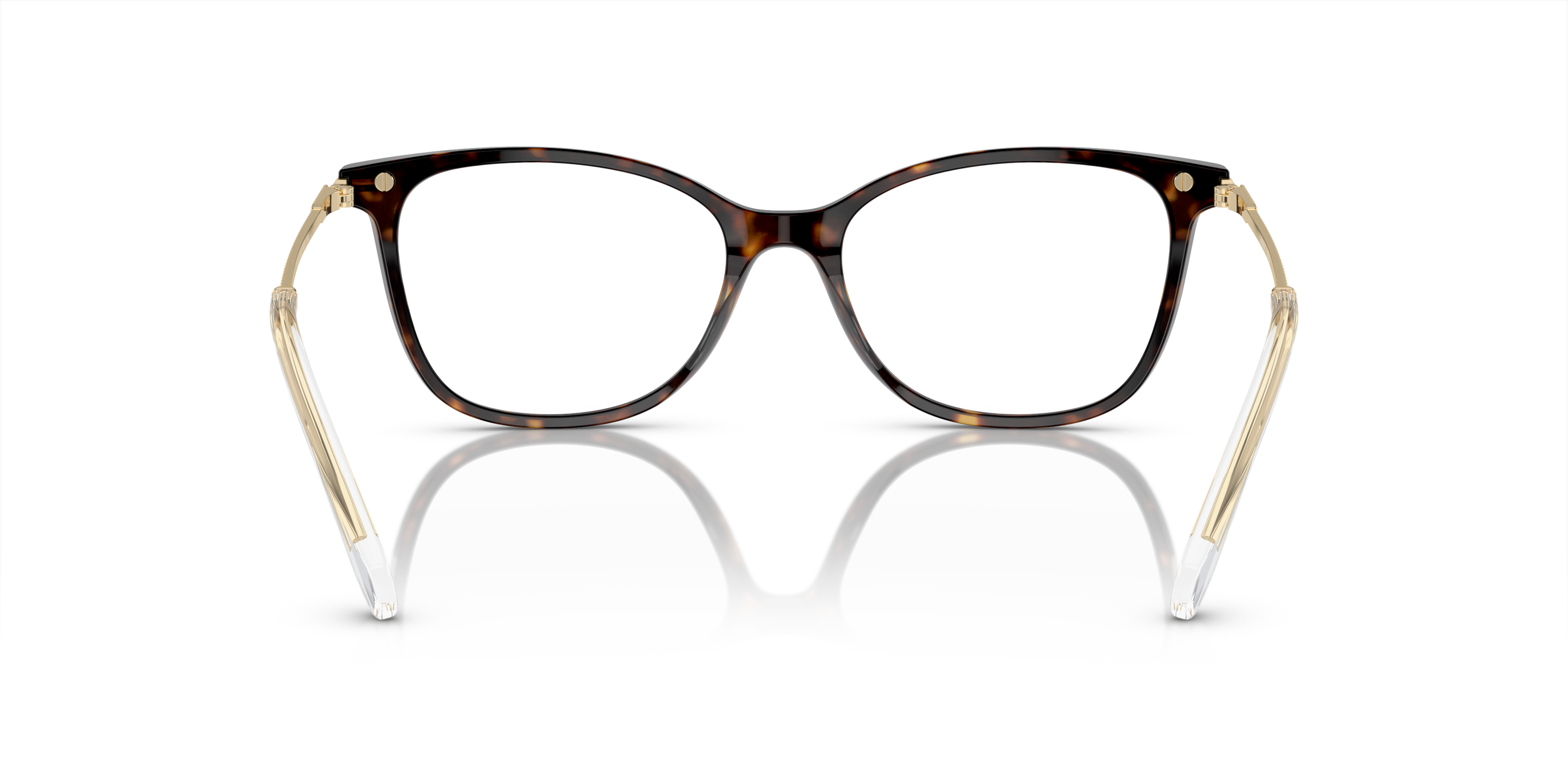 Detail02 Swarovski SK 2010 (1002) Glasses Transparent / Tortoise Shell