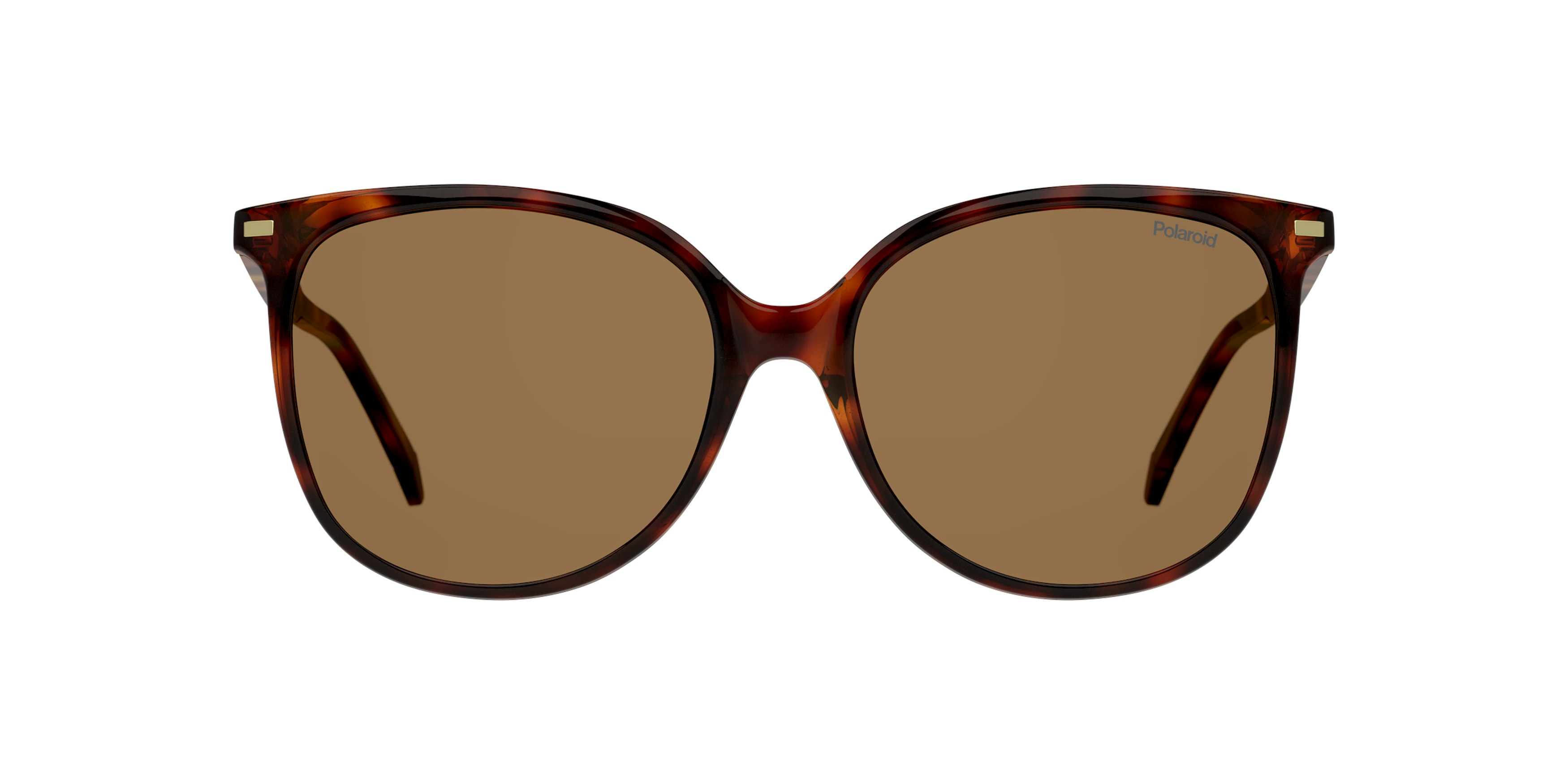 POLAROID zonnebril Polariserend PLD 4125/G/S Vrouwen-Bruin