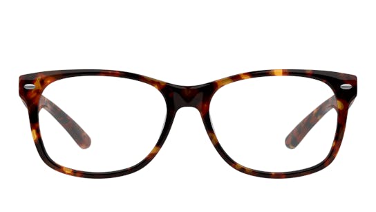 Kids tortoise top shell glasses