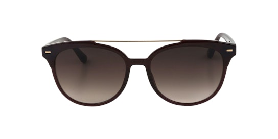 Ted Baker TB 1539 (253) Sunglasses Brown / Red