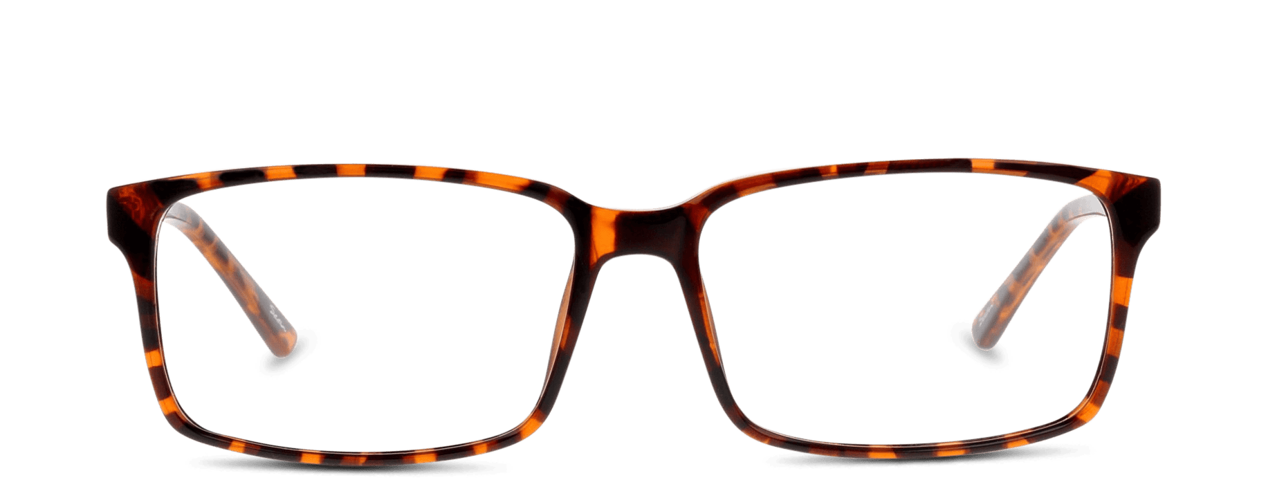 Front, Seen TOAM21 HH