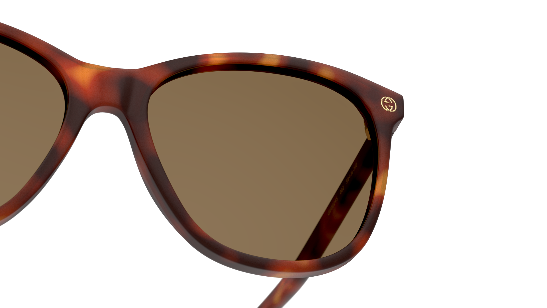 Detail01 Gucci GG 0024S (002) Sunglasses Brown / Tortoise Shell