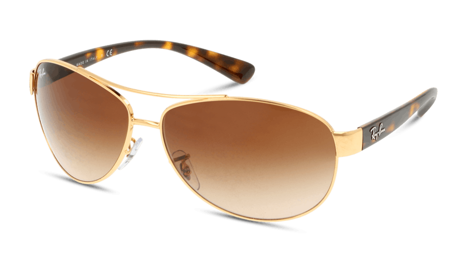 Angle_Left01, Ray-Ban RB3386 001/13