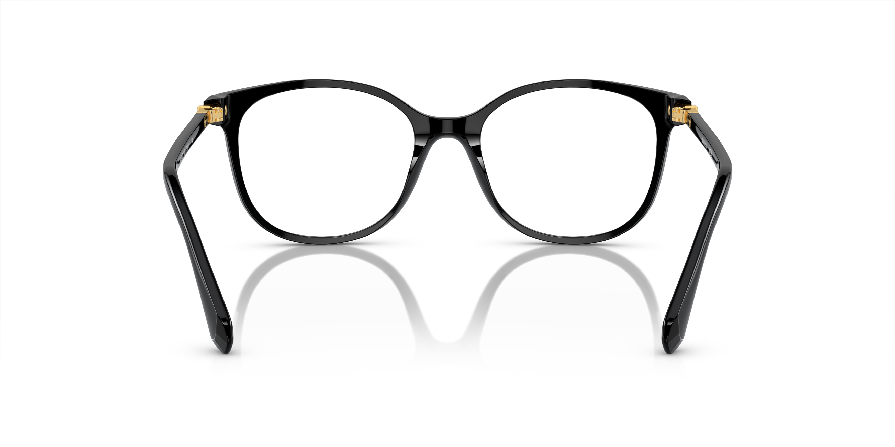 Detail02 Swarovski SK 2002 Glasses Transparent / Black