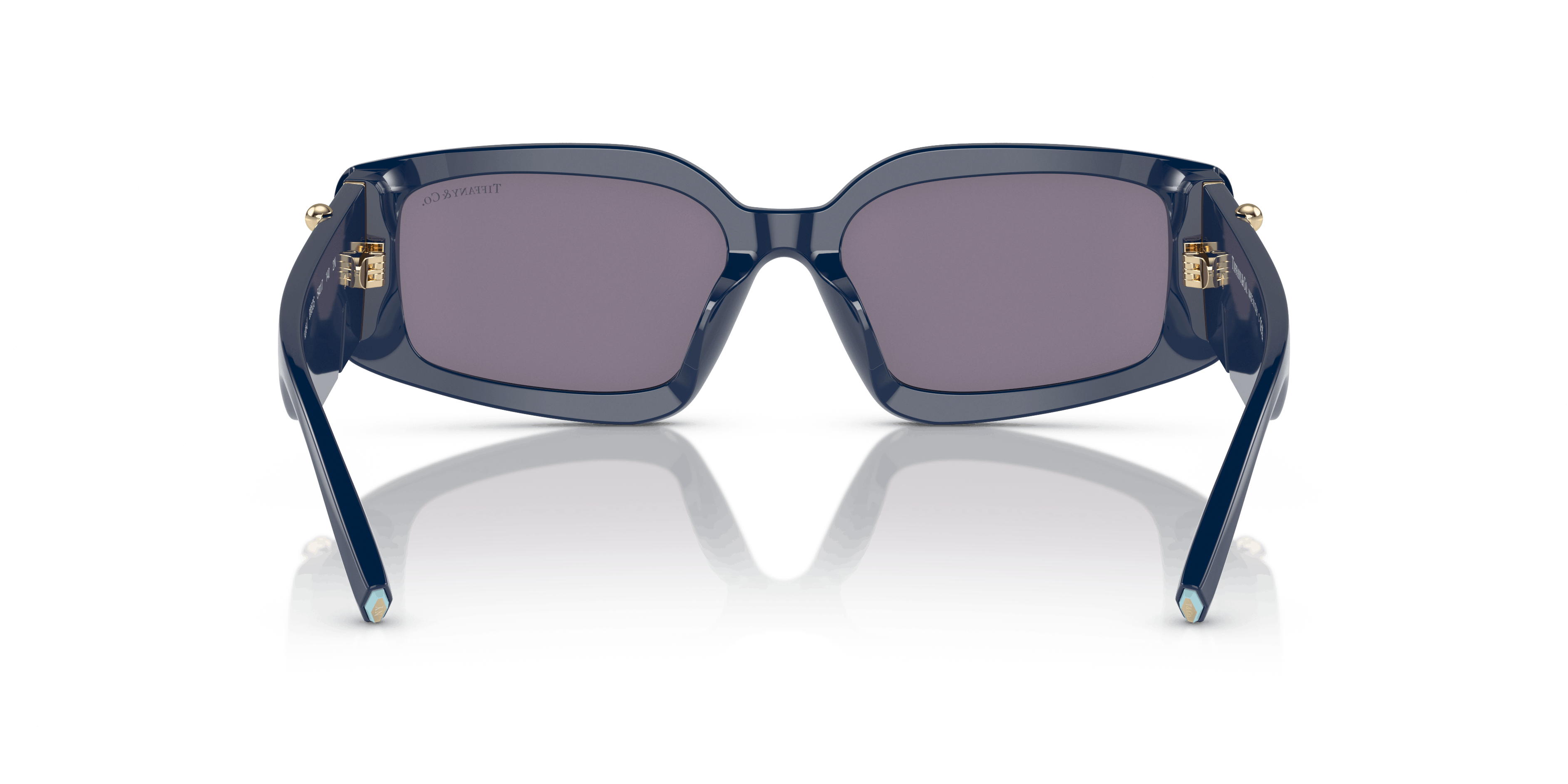 Detail02, Tiffany & Co. TF4208U 83852S
