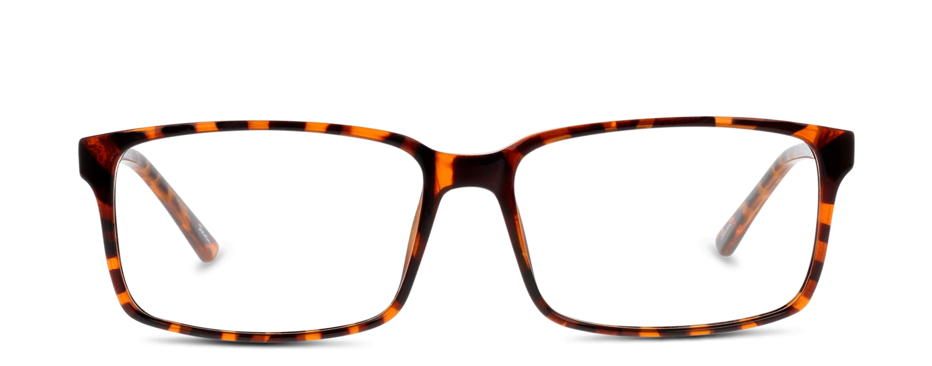 Front Seen SN AM21 (Large) (HH) Glasses Transparent / Tortoise Shell
