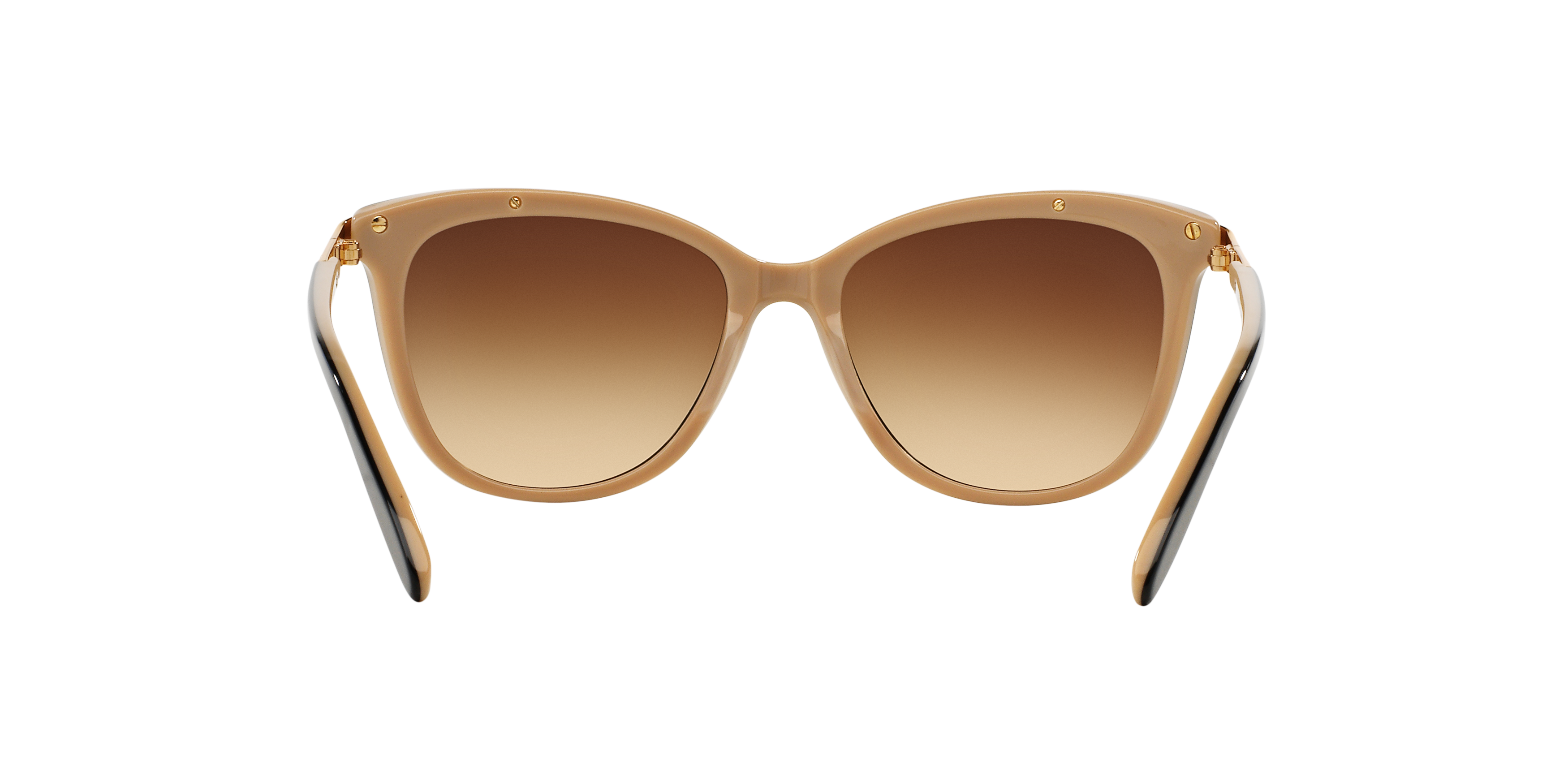 Detail02 Ralph by Ralph Lauren RA 5203 (109013) Sunglasses Brown / Black