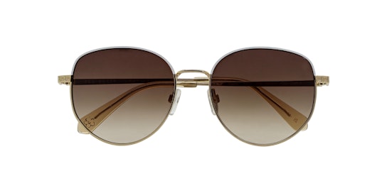 Ted Baker TB 1678 (449) Sunglasses Brown / Gold