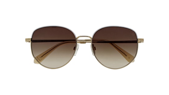 Ted Baker TB 1678 Sunglasses Brown / Gold