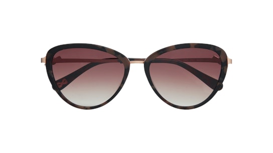 Ted Baker Malin TB 1547 Sunglasses Brown / Pink
