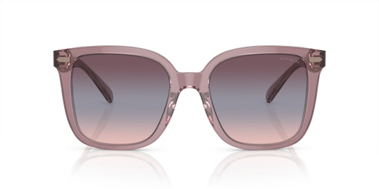 Coach HC 8381U Sunglasses Blue / Transparent, Pink