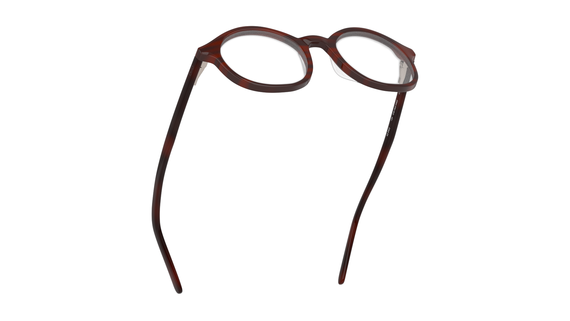 Bottom_Up DbyD DB OF5033 (NN00) Glasses Transparent / Brown