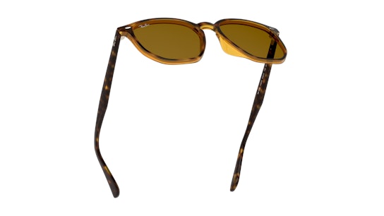 RAY-BAN RB4306 710/73 Ecaille
