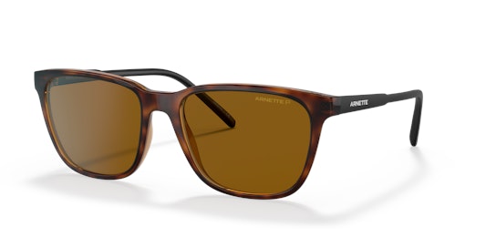 Arnette AN 4291 Sunglasses Brown / Havana