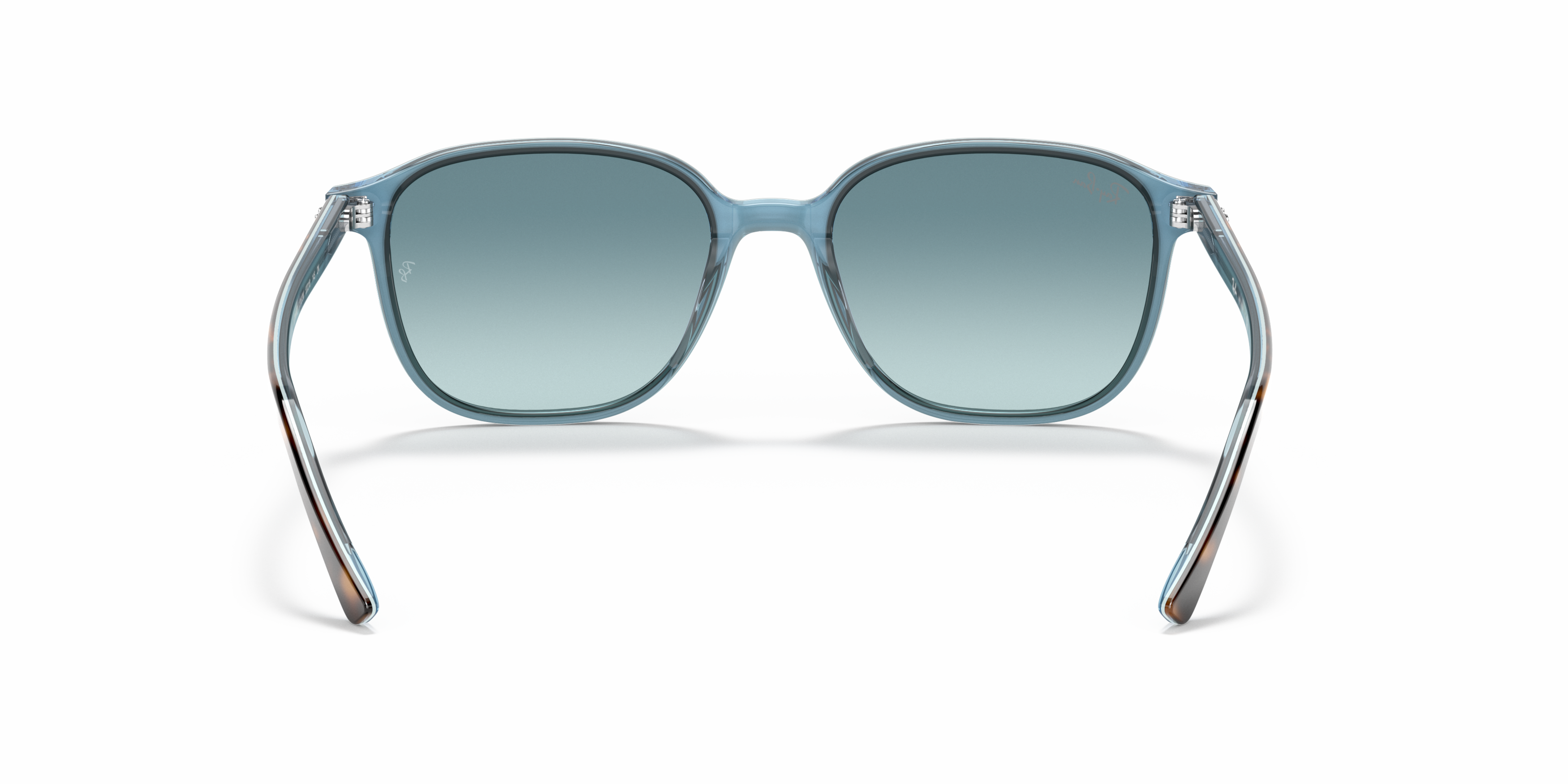 [products.image.detail02] Ray-Ban Leonard RB2193 13163M