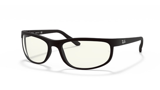 Ray-Ban RB 2027 Sunglasses Transparent / Black
