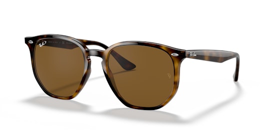 Ray-Ban RB 4306 Sunglasses Brown / Transparent, Tortoise Shell