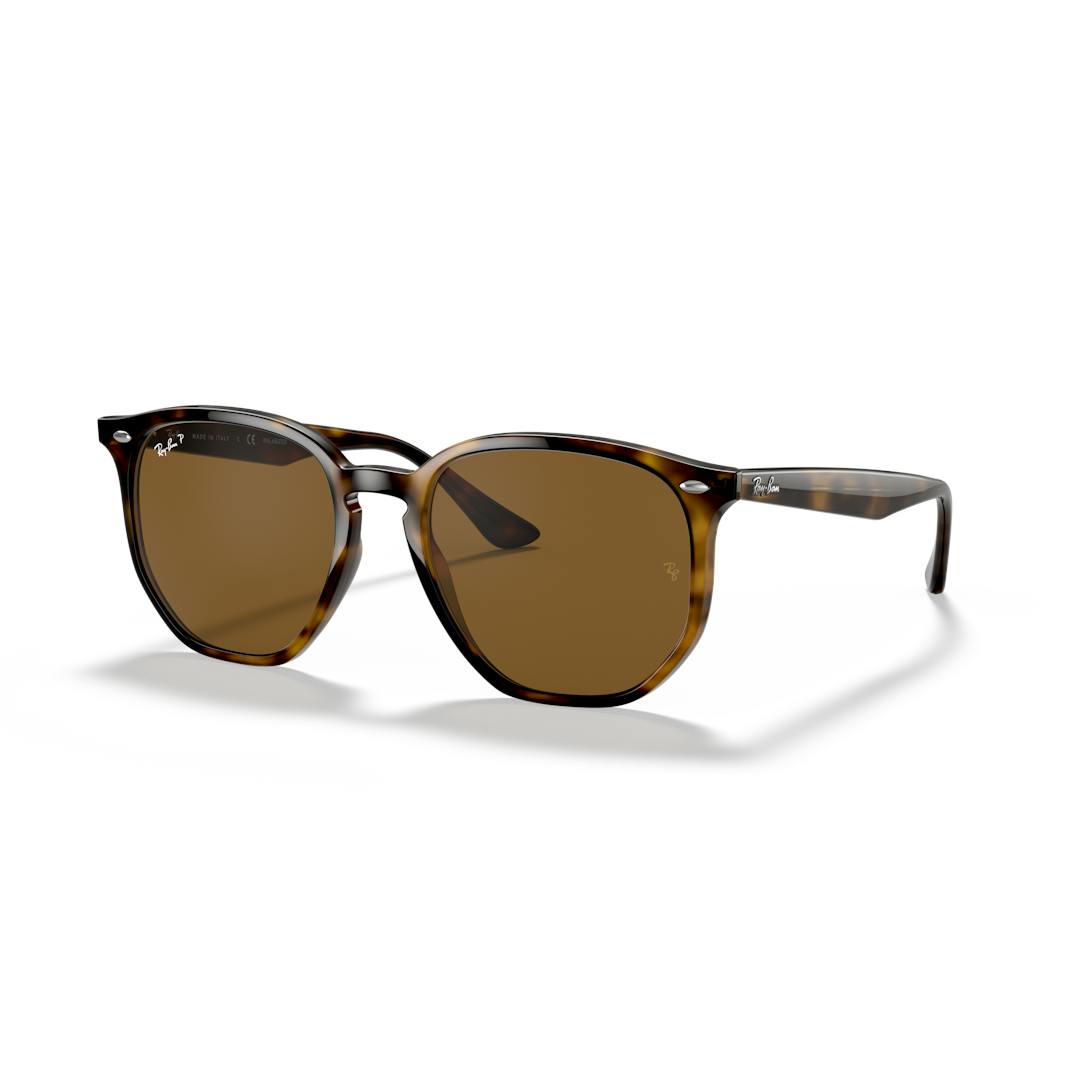 Ray-Ban 0RB4306 Solbriller - Runde Skildpadde Polariserede Linser