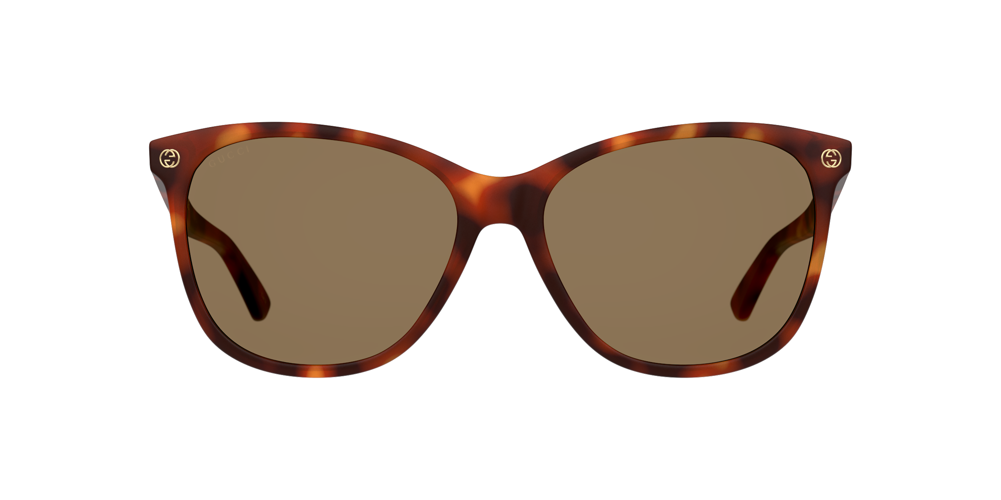 Front Gucci GG 0024S Sunglasses Brown / Tortoise Shell