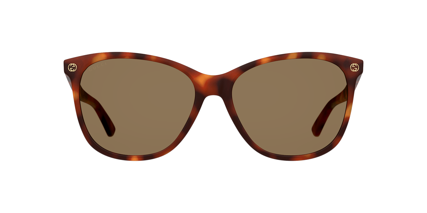 Gucci Gg 0024s Tortoise Shell Sunglasses Vision Express