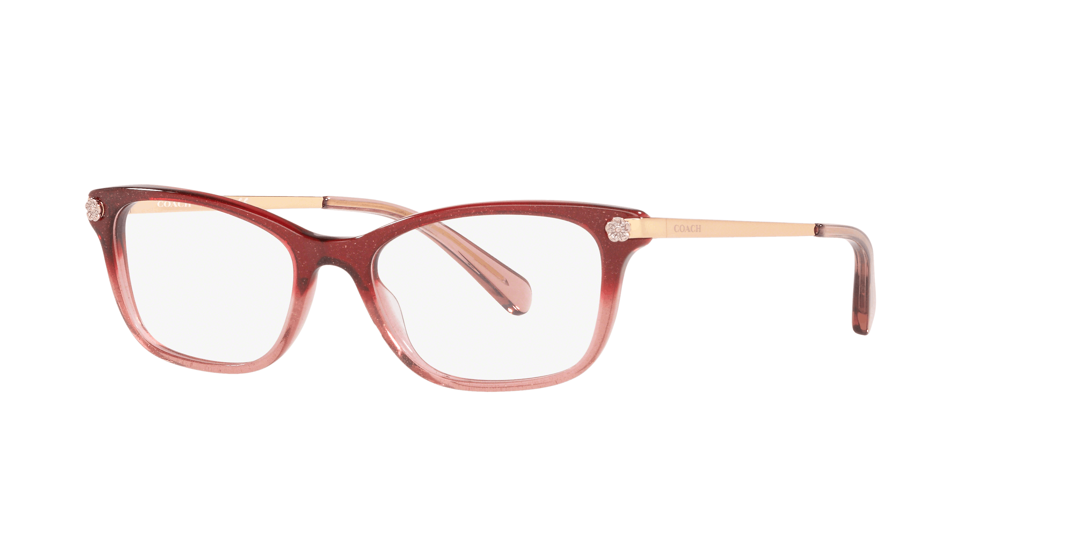 [products.image.angle_left01] Coach HC 6142 Glasses