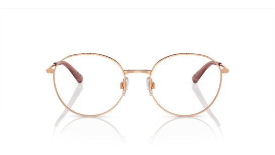 Dolce & Gabbana DG 1322 Glasses Transparent / Gold