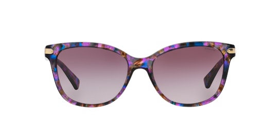 Coach HC 8132 Sunglasses Violet / Purple