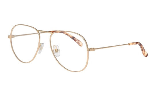 Givenchy GV 0117 (DDB) Glasses Transparent / Gold