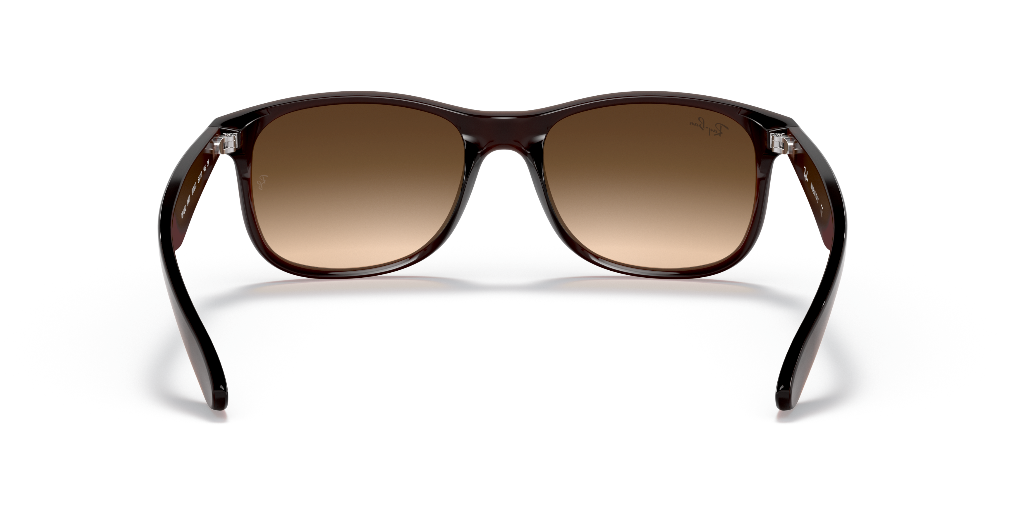 Detail02 Ray-Ban Andy RB4202 607313 Bruin / Bruin