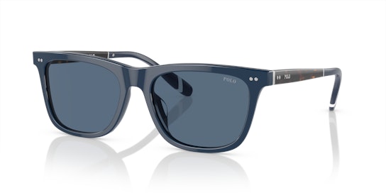 Polo Ralph Lauren PH 4205U Sunglasses Blue / Blue