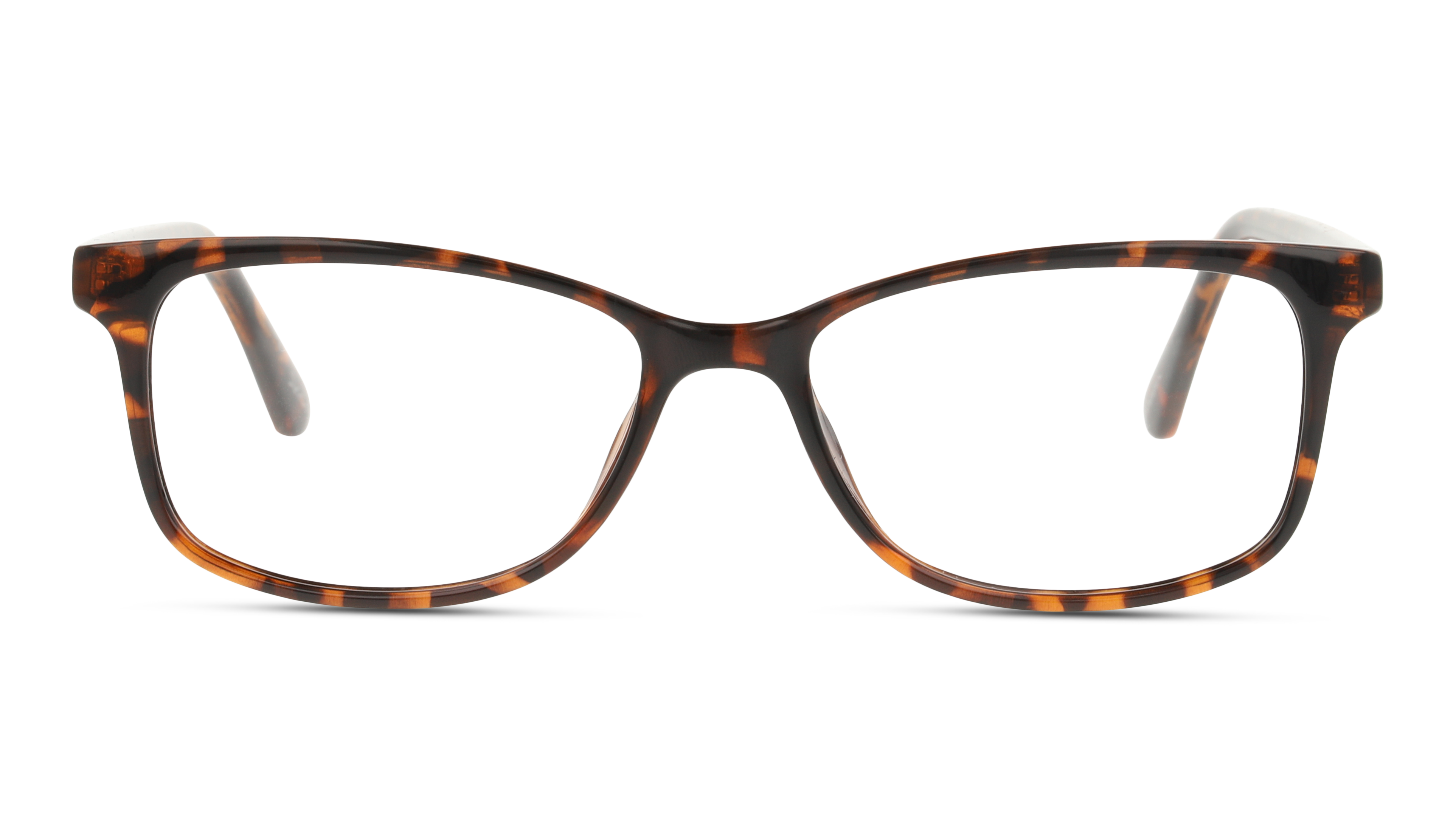Front Seen SN IF10 (HX00) Glasses Transparent / Havana