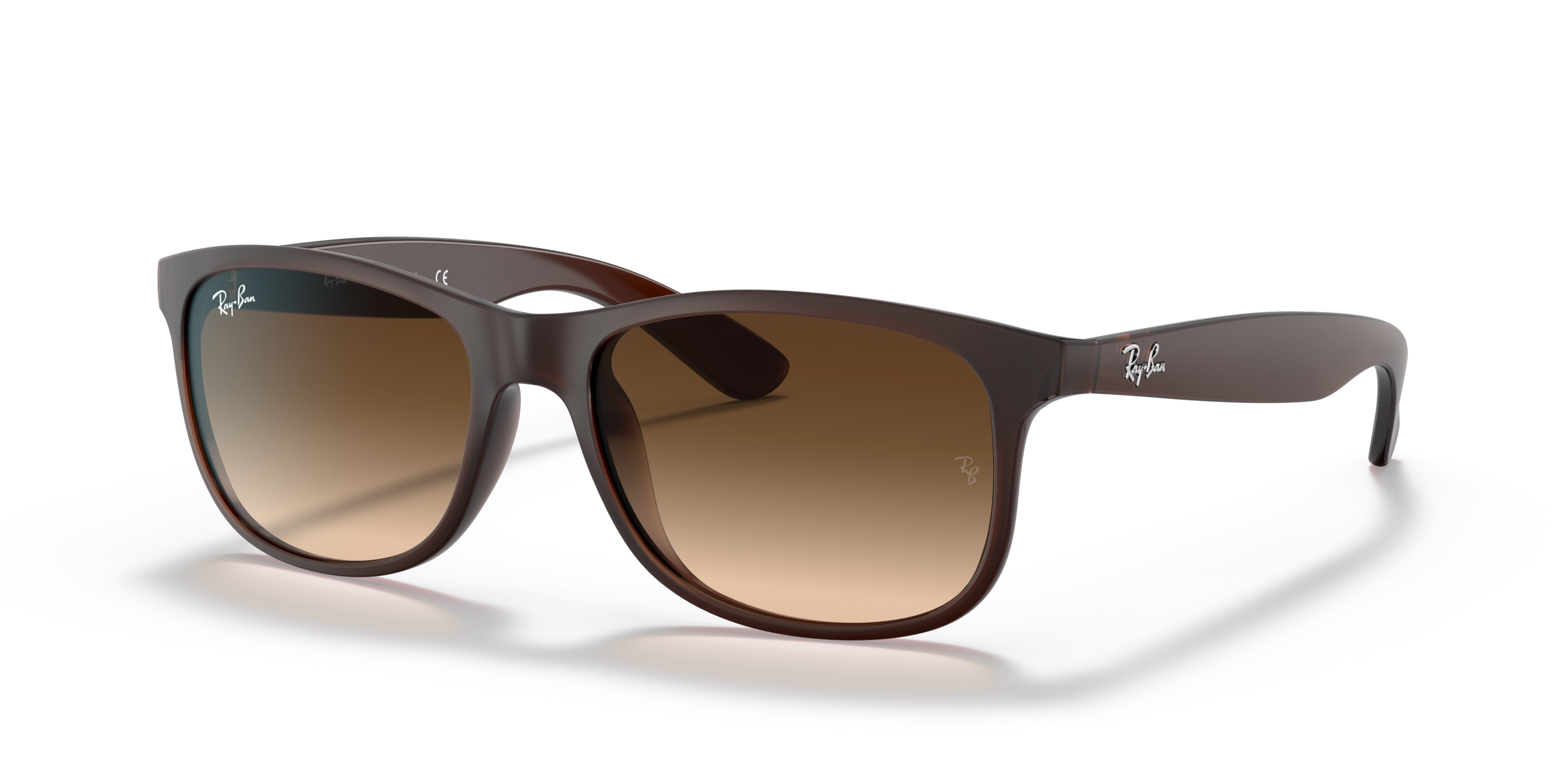 Angle_Left01 Ray-Ban Andy RB4202 607313 Bruin / Bruin