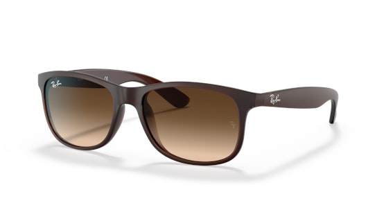 Ray-Ban Andy RB4202 607313 Bruin / Bruin