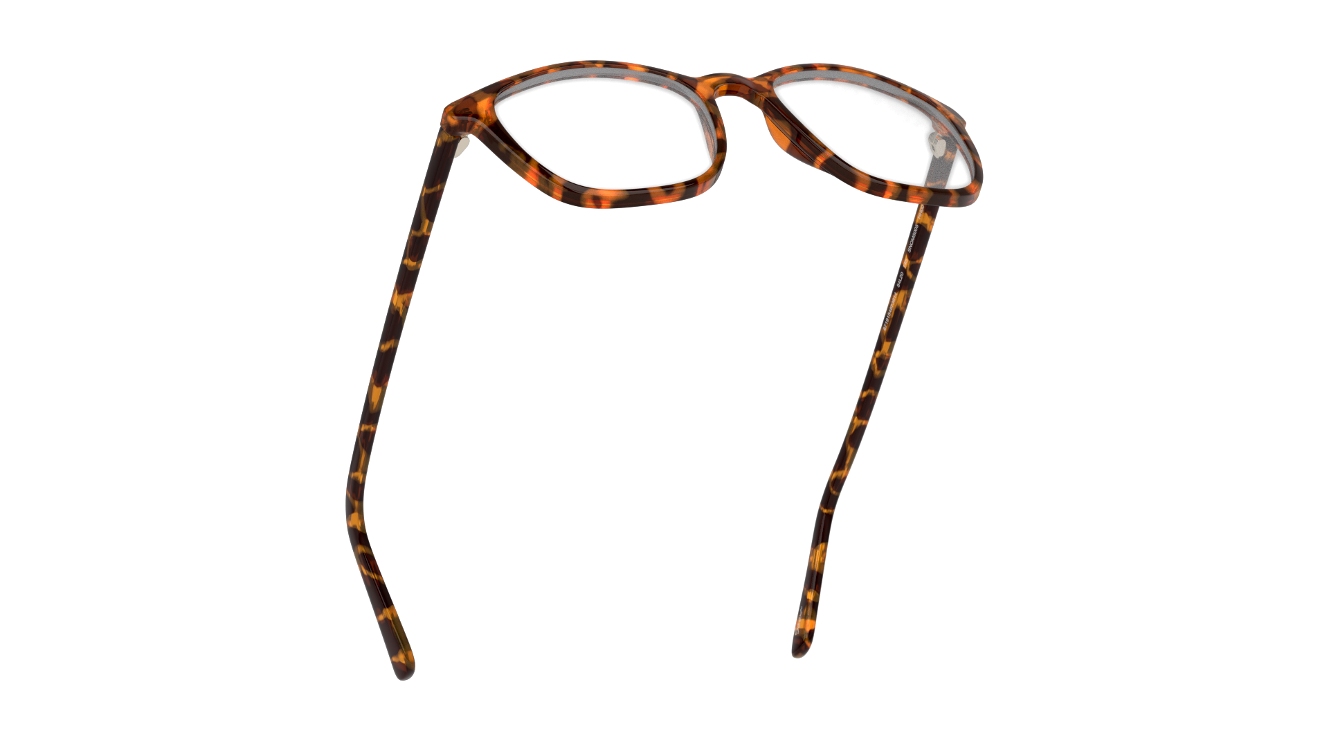Bottom_Up Seen SNOM5005 Glasses Transparent / Tortoise Shell