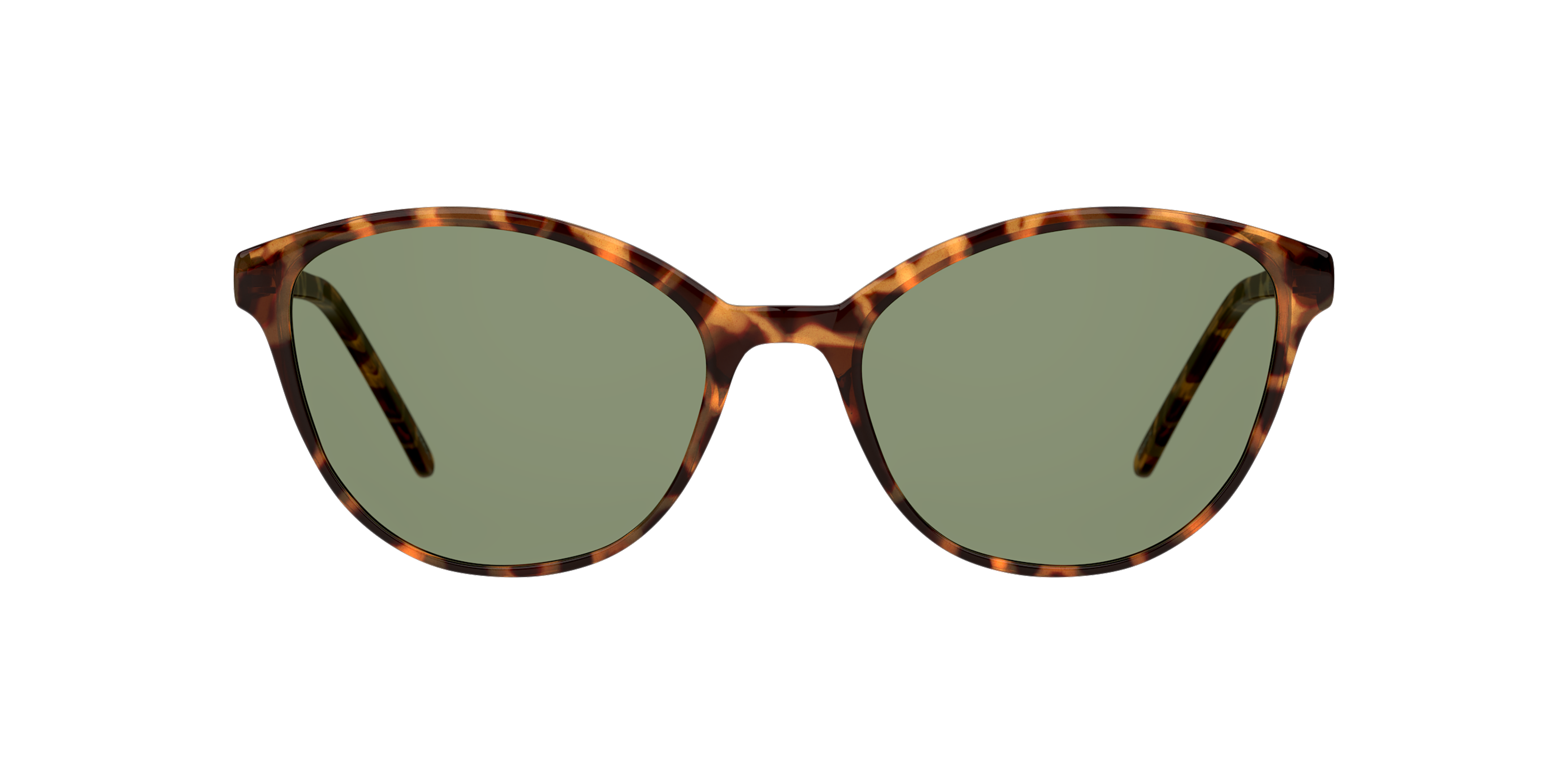 Front Seen SN SF0024 Sunglasses Green / Havana