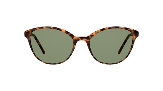 Seen SN SF0024 (HHE0) Sunglasses Green / Havana