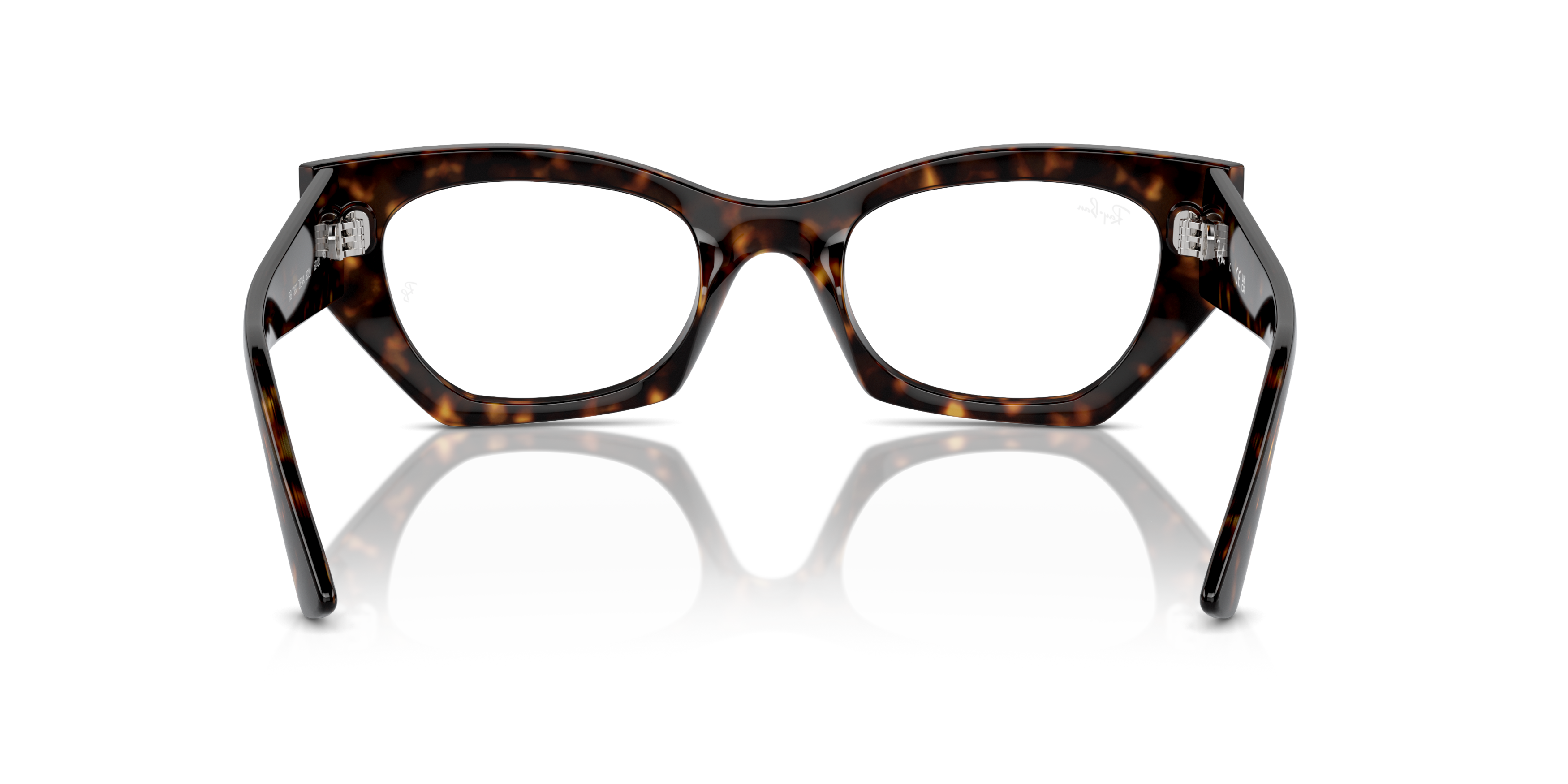 Detail02 Ray-Ban RX 7330 Glasses Transparent / Black