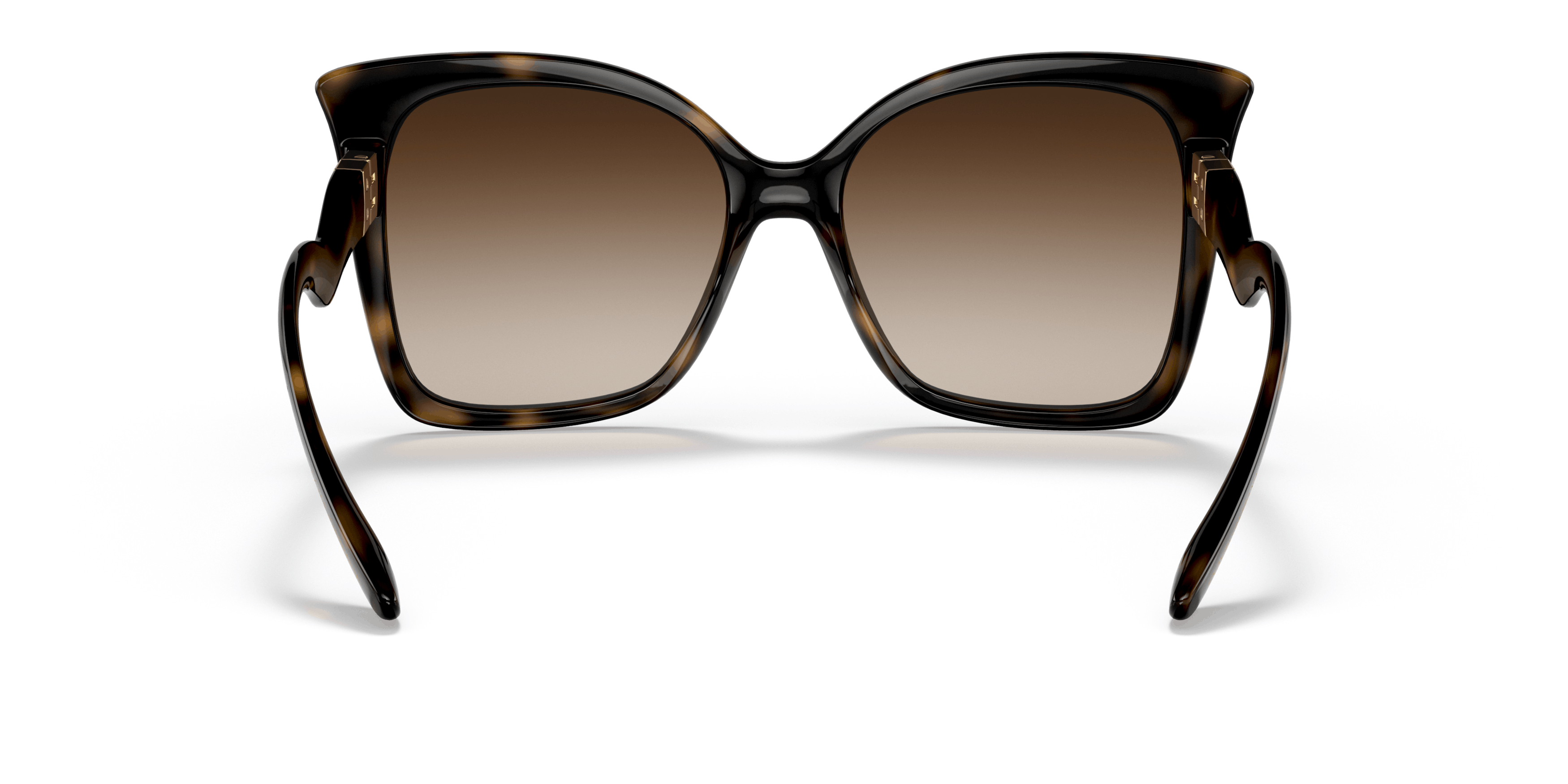Detail02 Dolce & Gabbana 0DG6168 502/13 Marrone / Tartarugato
