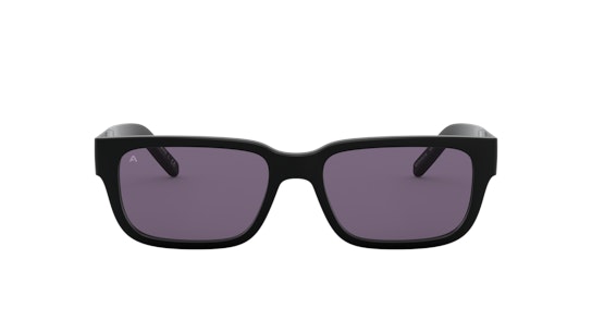 Arnette Post Malone x Arnette AN 4273 Sunglasses Violet / Black