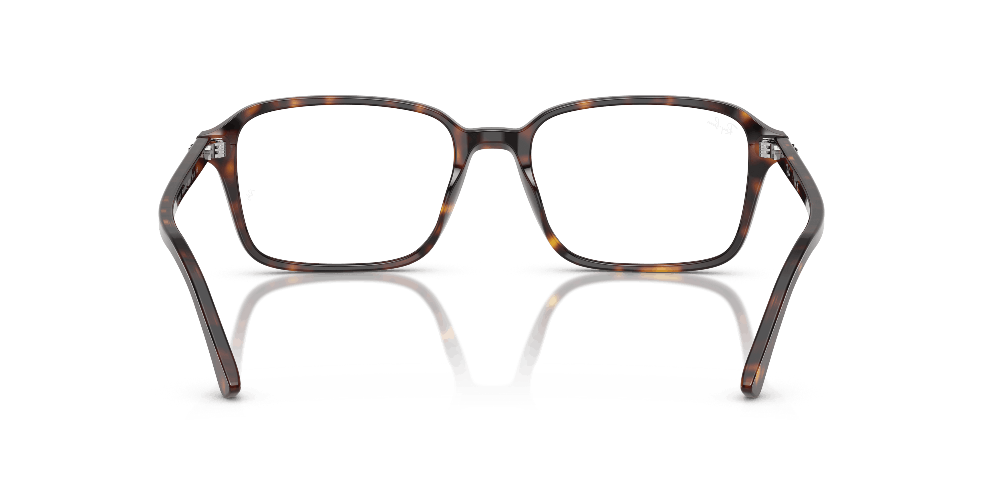 Detail02, Ray-Ban Raimond 0RX5431 2012 Briller
