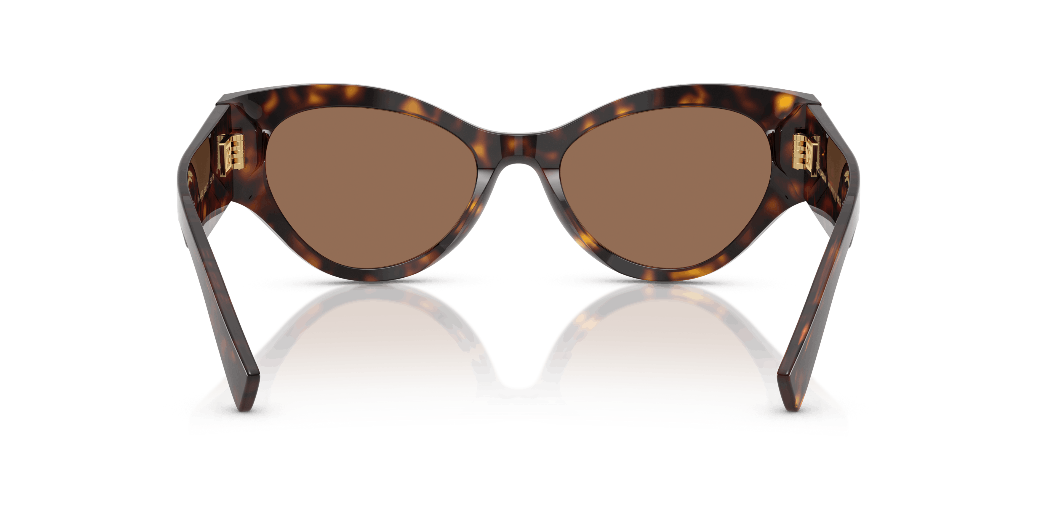 Detail02, Dolce & Gabbana 0DG4480 502/73 Solglasögon